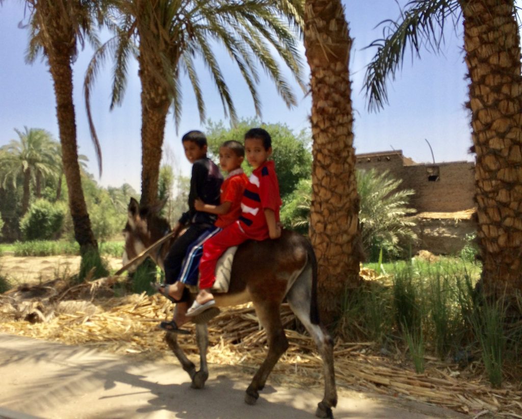 Election Day — boys on donkey w/national colors.